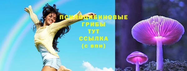 мяу мяу мука Осташков