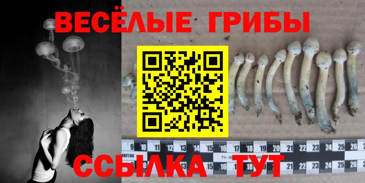 Псилоцибиновые грибы Psilocybine cubensis  Вход с VPN  Березники 