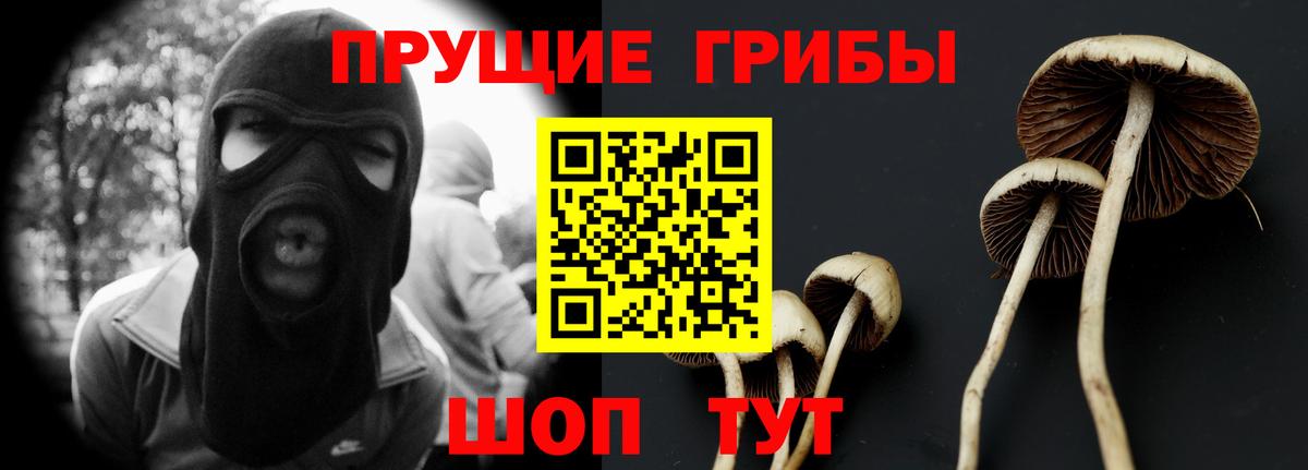 Псилоцибиновые грибы прущие грибы Березники